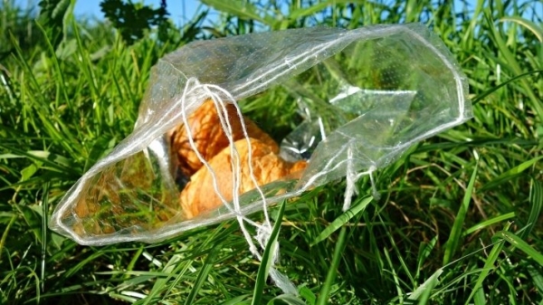 Роспотребнадзор готовит поэтапный запрет пластиковых пакетов
